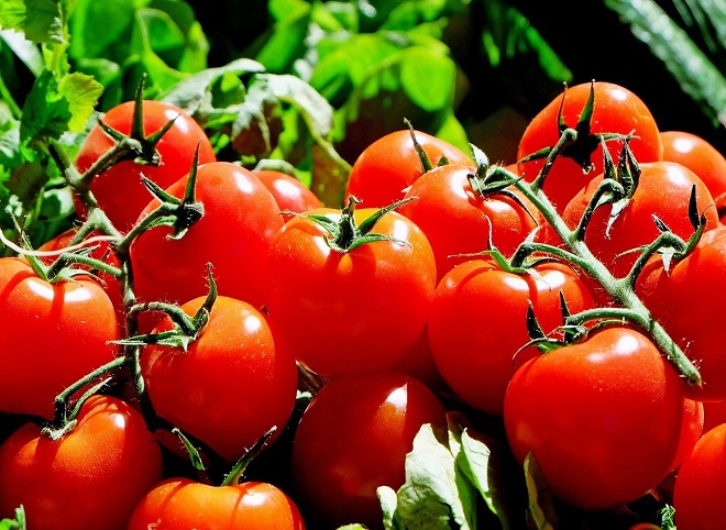 В России запретили импорт некоторых овощей и фруктов из четырех стран