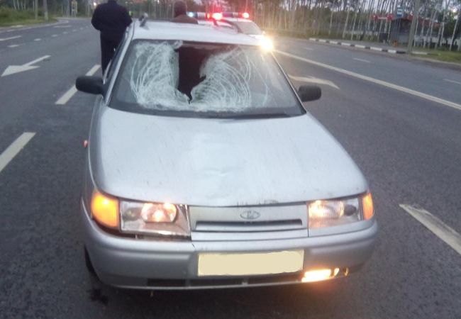 На трассе М5 в Рязани пешеход попал под колеса