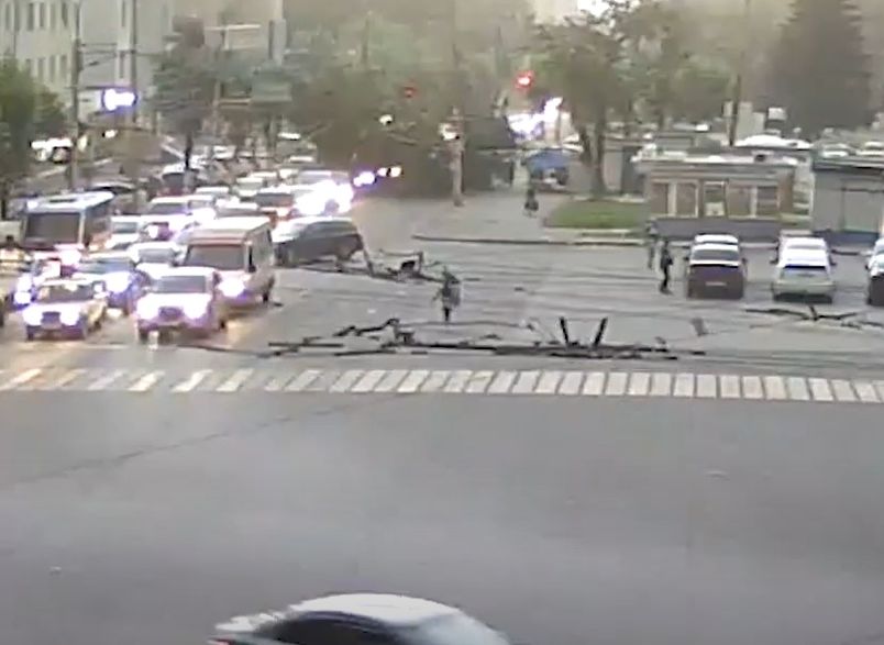 Опубликовано видео падения дерева на улице Есенина