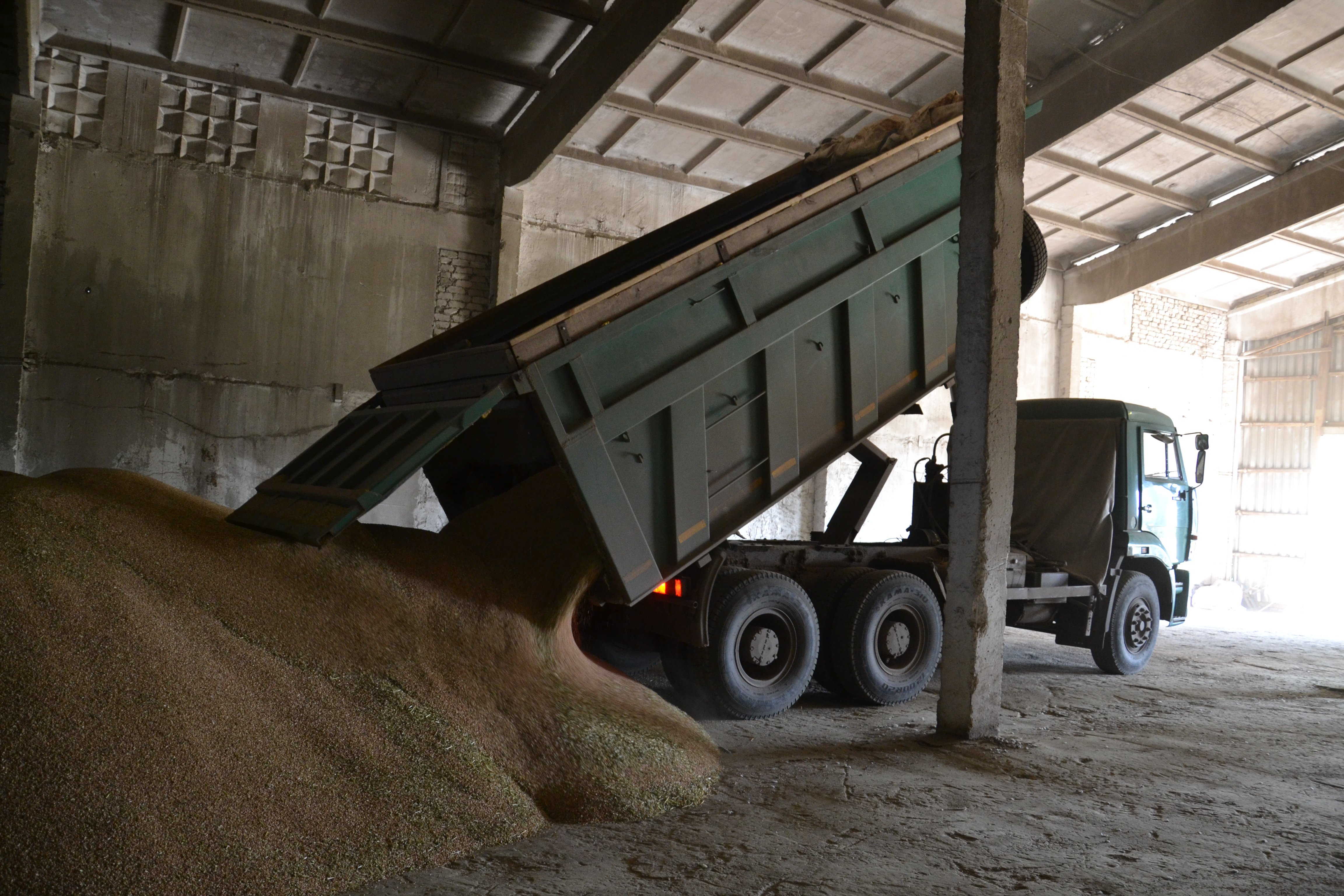Рязань вошла в топ-30 регионов по сбору зерна в 2015 году