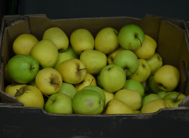 В Рязани уничтожили почти восемь тонн польских яблок