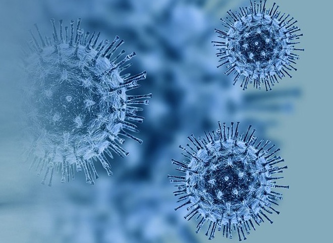 В Италии обнаружили «нигерийский» штамм коронавируса