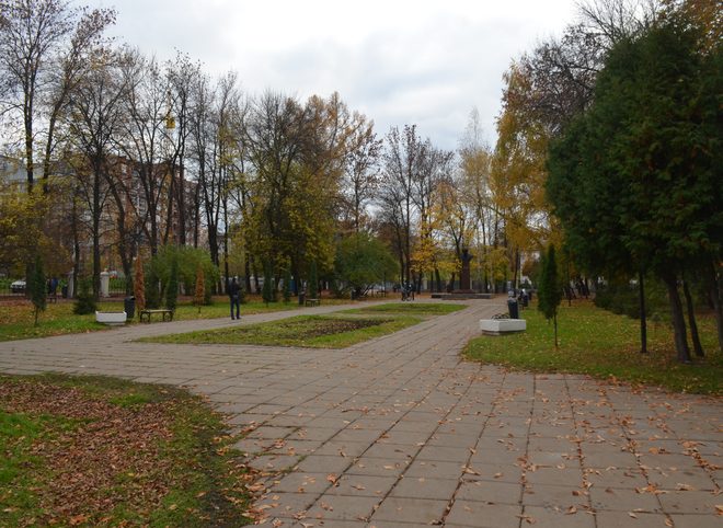 В Рязани проведут большое голосование по выбору парков для благоустройства