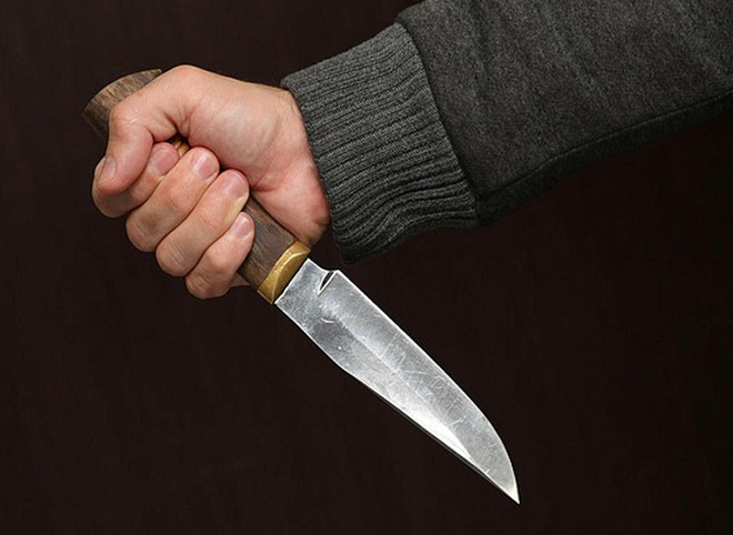 В Рязани мигрант угрожал ножом 11-летней девочке