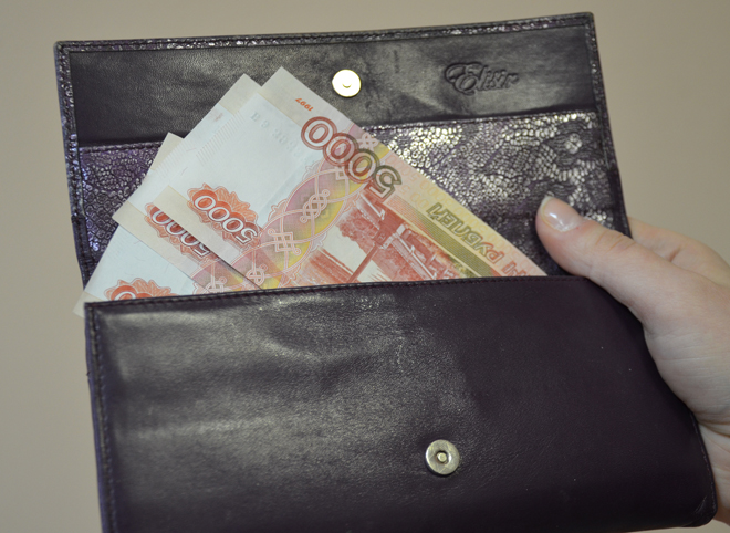 Рязанская карманница украла 200 тыс. рублей из кошелька москвички