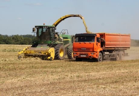 В России отменили экспортную пошлину на пшеницу