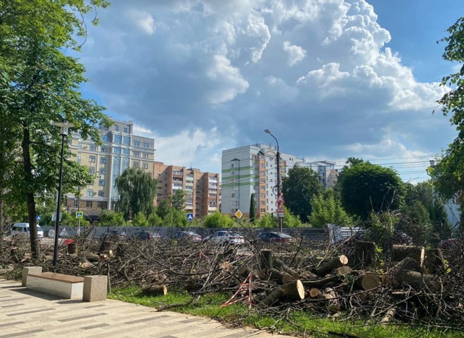 В Рязани уничтожили деревья в Наташином парке