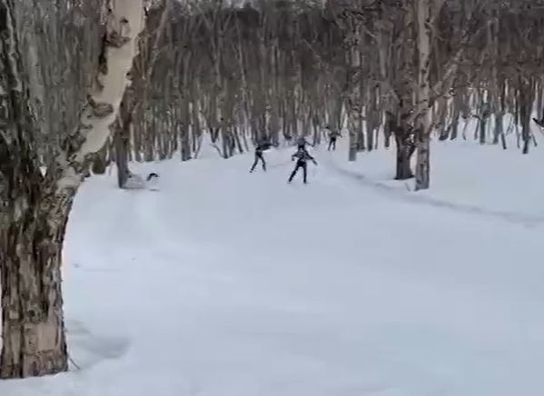 На Камчатке во время соревнований погиб лыжник