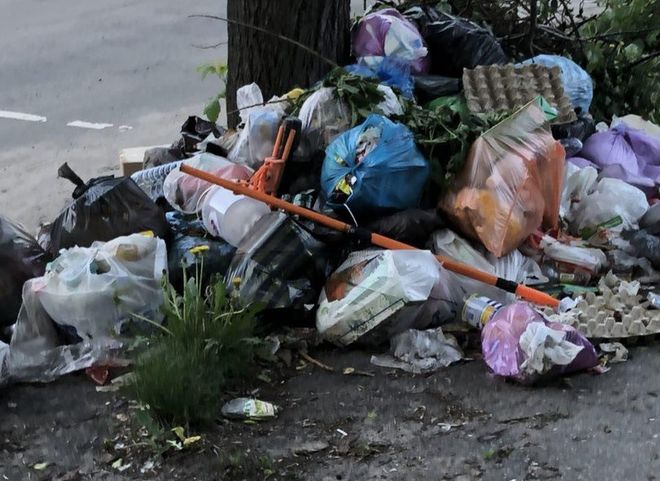 Фото: улица Щедрина утопает в мусоре