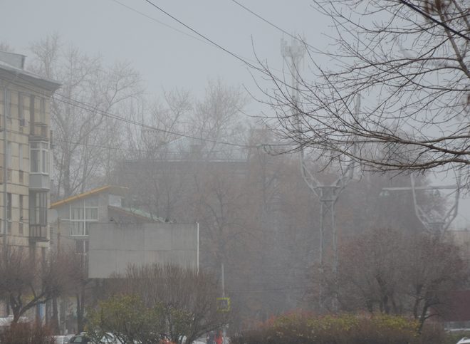 МЧС: Рязанскую область накроет густой туман