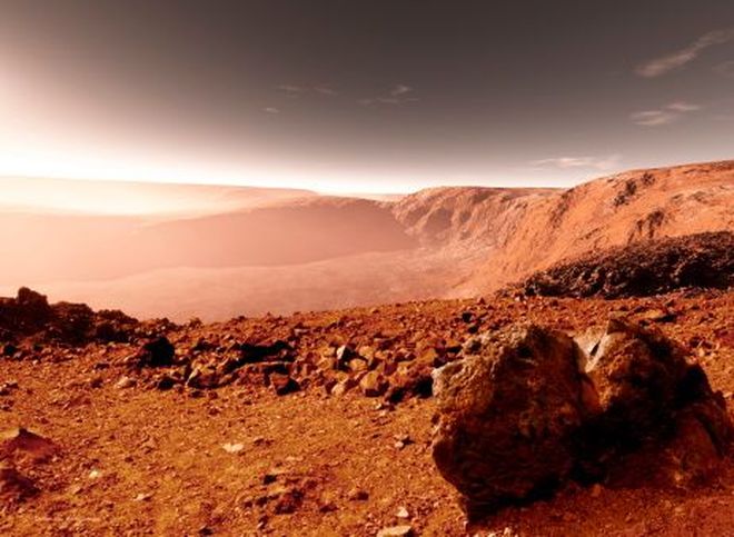 Ученые вывели овощи, способные расти в условиях Марса