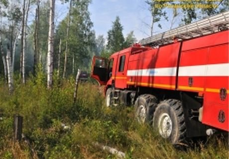 В Рябиновке Клепиковского района загорелся лес