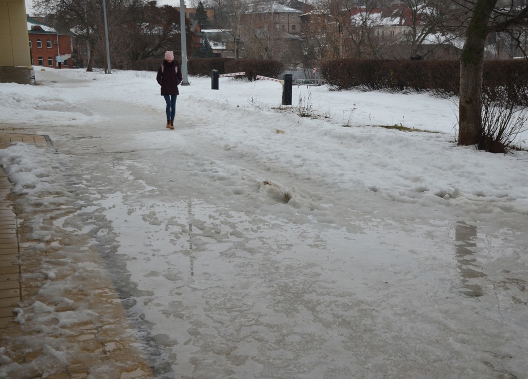 В четверг в Рязанской области потеплеет +1 °С