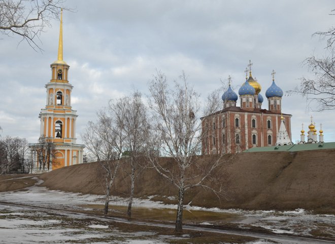 Эксперты: социально-политическая устойчивость Рязанской области одна из худших в России