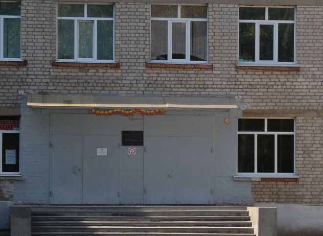 Рязанцы пожаловались на нашествие клопов в школе №49