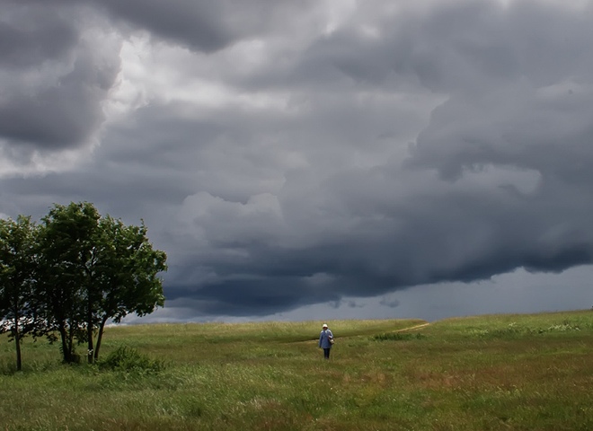 В Рязанской области в ближайшие часы ожидаются дождь и гроза