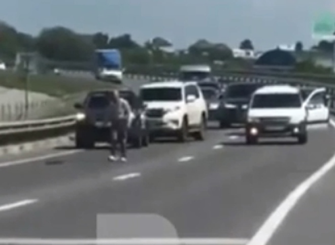 Рязанцы засняли, как мужчина переводит через Солотчинское шоссе утиное семейство