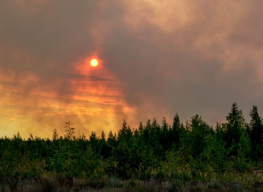 В Рязанской области прогнозируются торфяные пожары