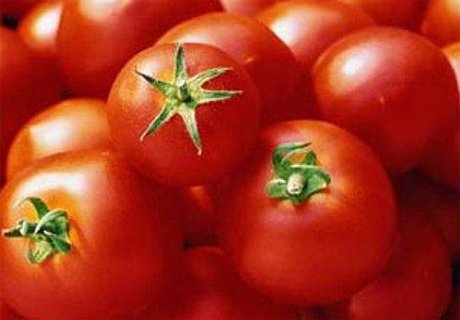 Египет увеличил поставки томатов, снизив их качество