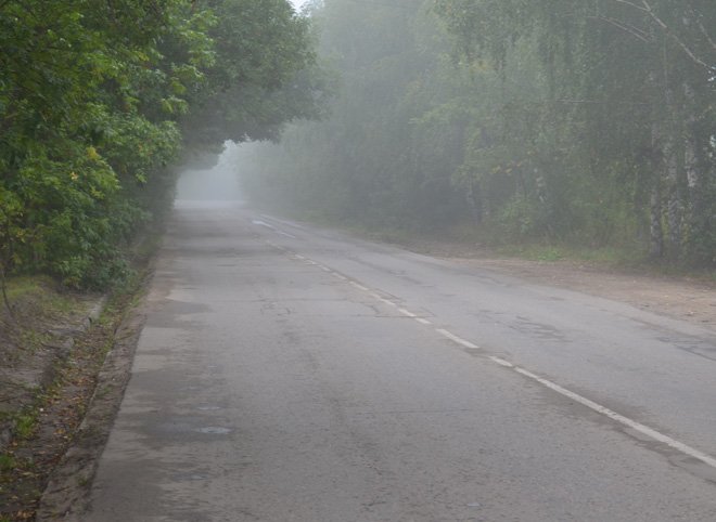 Рязанских водителей предупредили о сильном тумане на дорогах