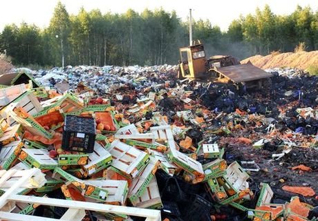 Россельхознадзор уничтожил 676 тонн запрещенной продукции