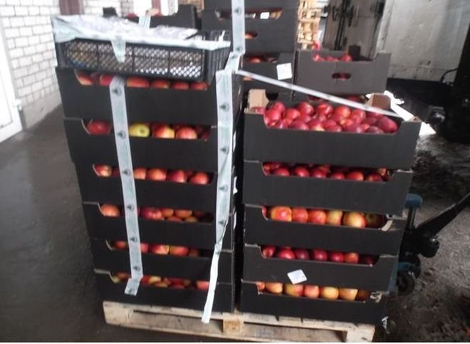 В Рязани уничтожили тонну санкционных яблок