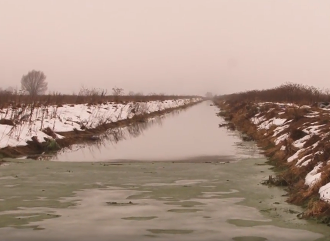 В Дашково-Песочне канализационные стоки сливают в Оку