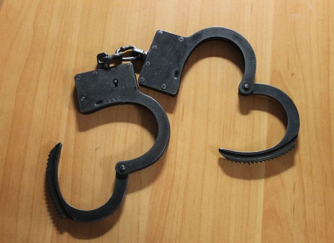 Полицейские задержали в Рязани мужчину, объявленного в федеральный розыск