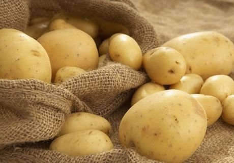 Урожай картофеля превысил прошлогодний на 20 тыс. тонн