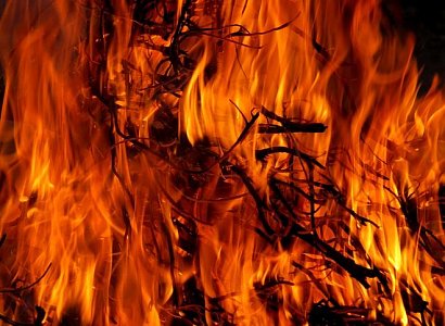 Виновник лесного пожара под Рязанью возместил ущерб