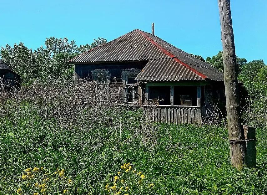 В сети появился репортаж из заброшенной деревни в Рязанской области