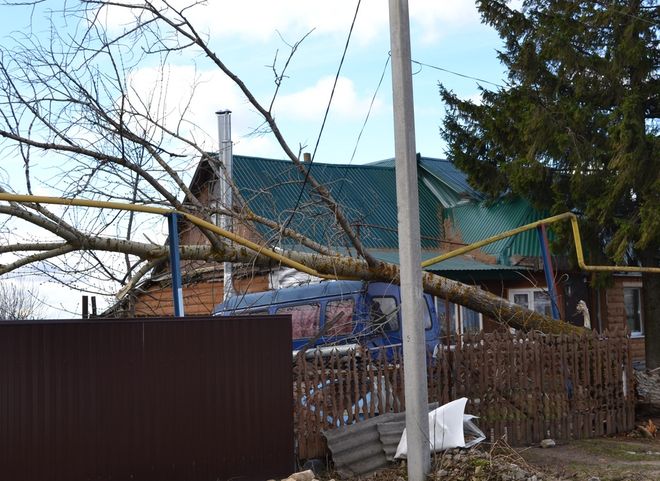 В Пронске ураганный ветер повредил газопроводную сеть