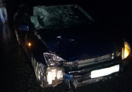В Рязанском районе Mitsubishi насмерть сбил пешехода