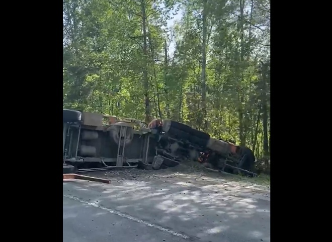 В Рязанской области столкнулись лесовоз и школьный автобус, есть пострадавший