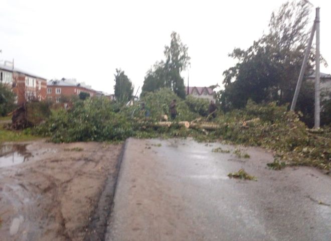 Во время урагана в Рязанской области никто не пострадал