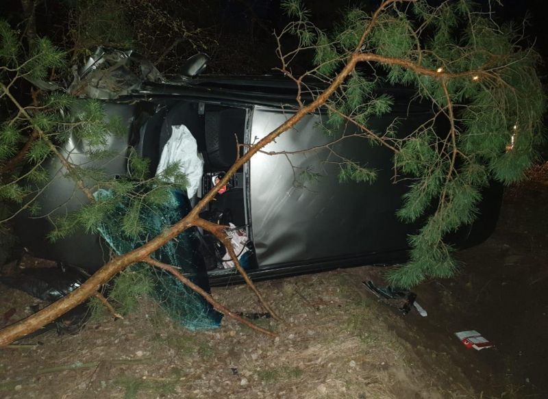 Пьяный водитель врезался в дерево в селе Ласково