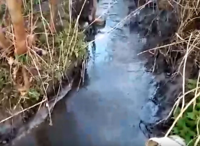 Видео: в Рязани ручей, впадающий в Оку, загрязнили нефтепродуктами