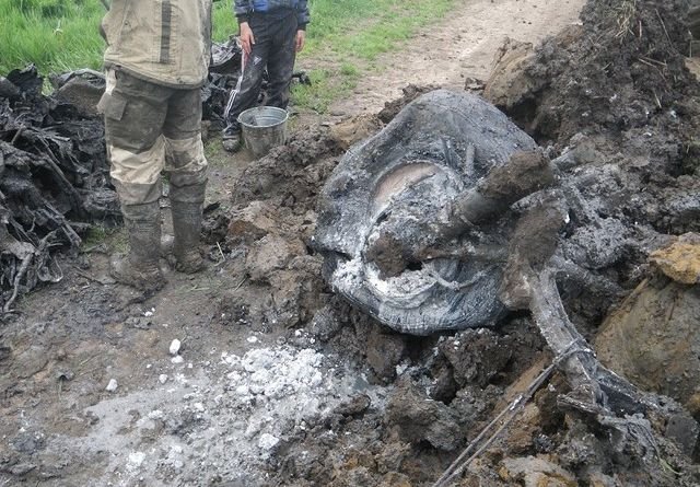 Останки двух рязанских воинов обнаружены под Краснодаром