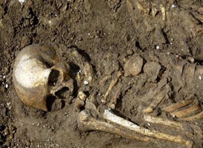 Под Рязанью нашли скелетированные останки человека