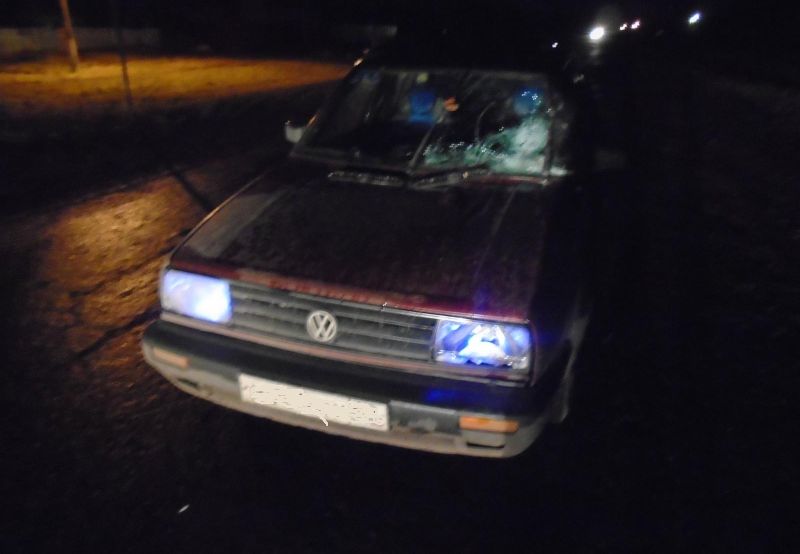 В Рязанской области пьяный водитель сбил девочку