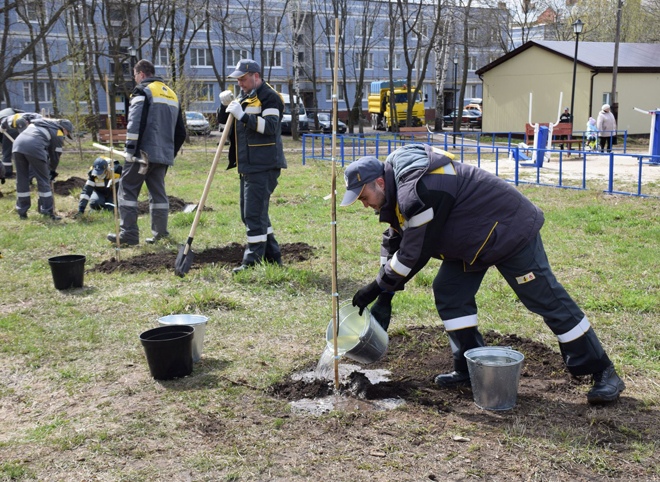 Рязанская НПК высадила в Турлатове саженцы дуба