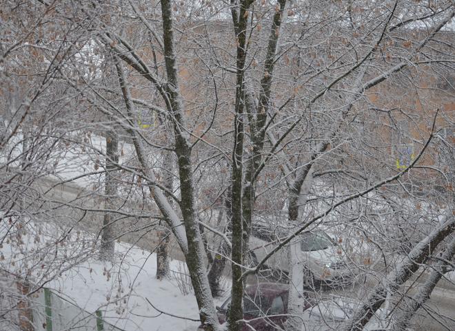Рязанская мэрия обратилась к водителям в связи со снегопадом