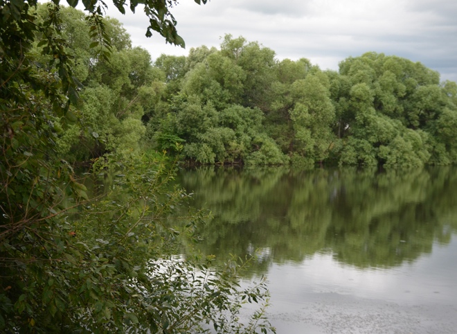 В Сасовском районе мужчина утонул в реке