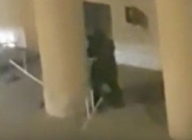 Ликвидация боевика, напавшего на здание ФСБ, попала на видео