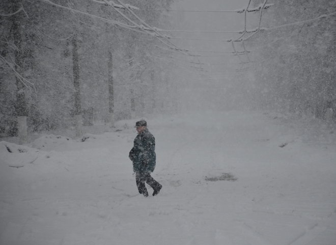 В Рязанской области в ближайшие часы ожидаются сильный ветер и мокрый снег