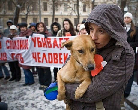 Путин поддержал ужесточение наказания за жестокое обращение с животными