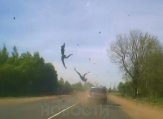 Гибель двоих подростков на скутере в Ленинградской области попала на видео
