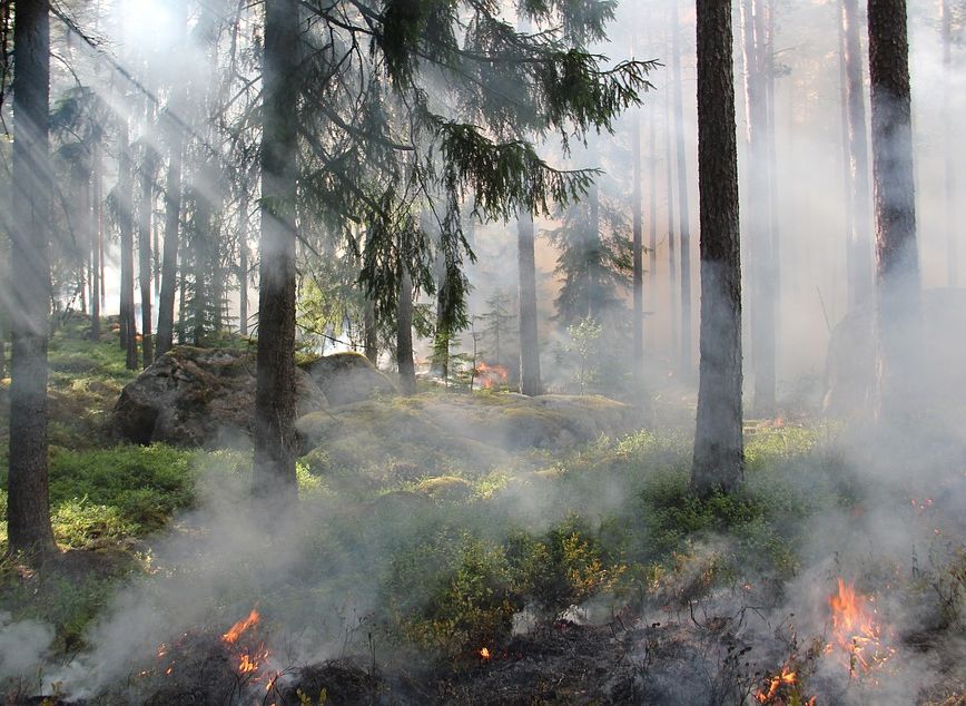 Торфяной пожар в Клепиковском районе локализован