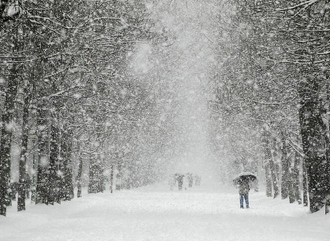 МЧС: в Рязанской области продолжится сильный снегопад