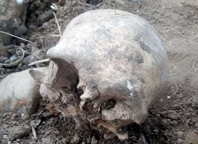 В Пронске во время земляных работ нашли человеческий череп